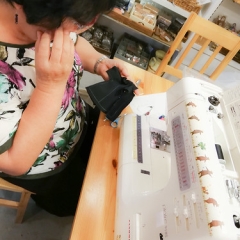 お人形のお洋服作り☆魔女っ子 お人形のお洋服作り☆魔女っ子 • <a style="font-size:0.8em;" href="http://www.flickr.com/photos/60410788@N05/48773162621/" target="_blank">View on Flickr</a>