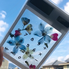 押し花でHappy Life 押し花でHappy Life • <a style="font-size:0.8em;" href="http://www.flickr.com/photos/60410788@N05/49470998278/" target="_blank">View on Flickr</a>