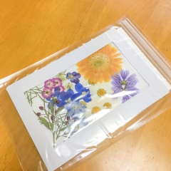 押し花で HappyLife 押し花で HappyLife • <a style="font-size:0.8em;" href="http://www.flickr.com/photos/60410788@N05/50257278027/" target="_blank">View on Flickr</a>