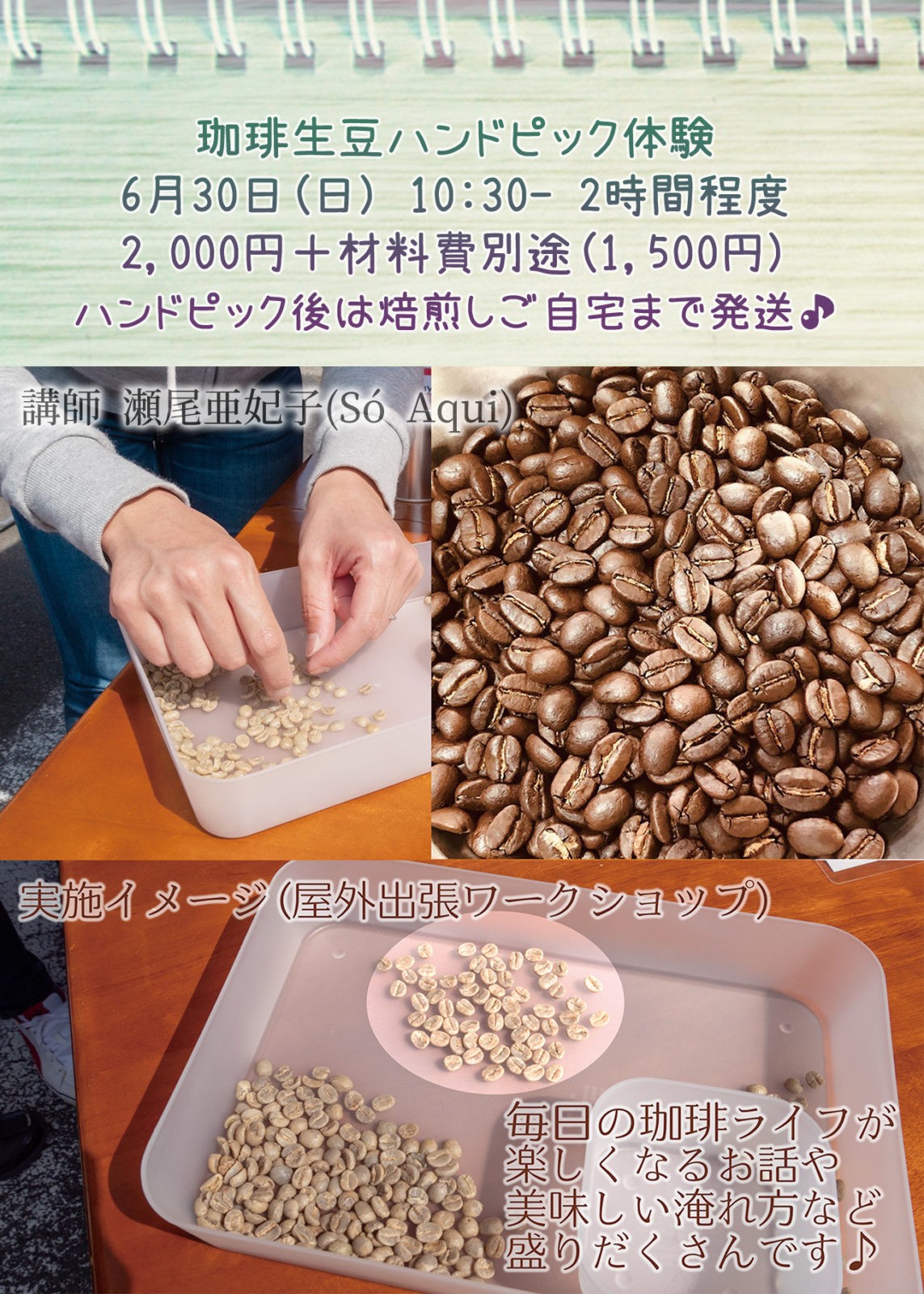 珈琲生豆ハンドピック体験 | 手作り体験・滋賀｜ヒッコリーチャーム